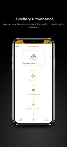 Diamond transformation timeline showing cutting and polishing stages with photos